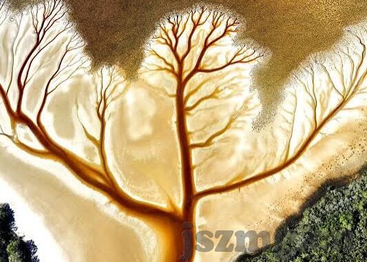 国产3p麻豆视频-隐喻与现实，国产3P剧的多元文化解读