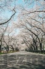 日韩av高清电影-日韩AV高清电影，文化、艺术与观赏的边界探索